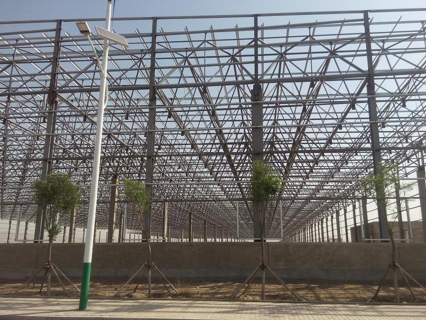 大安汽车工业厂房网架